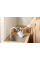 Электрочайник Xiaomi Electric Kettle 2 Pro White