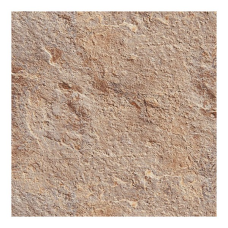 SAFARI BROWN 33.333.3 8589 1C