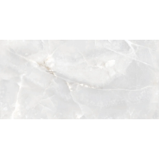 SWART SILVER 60120 1C